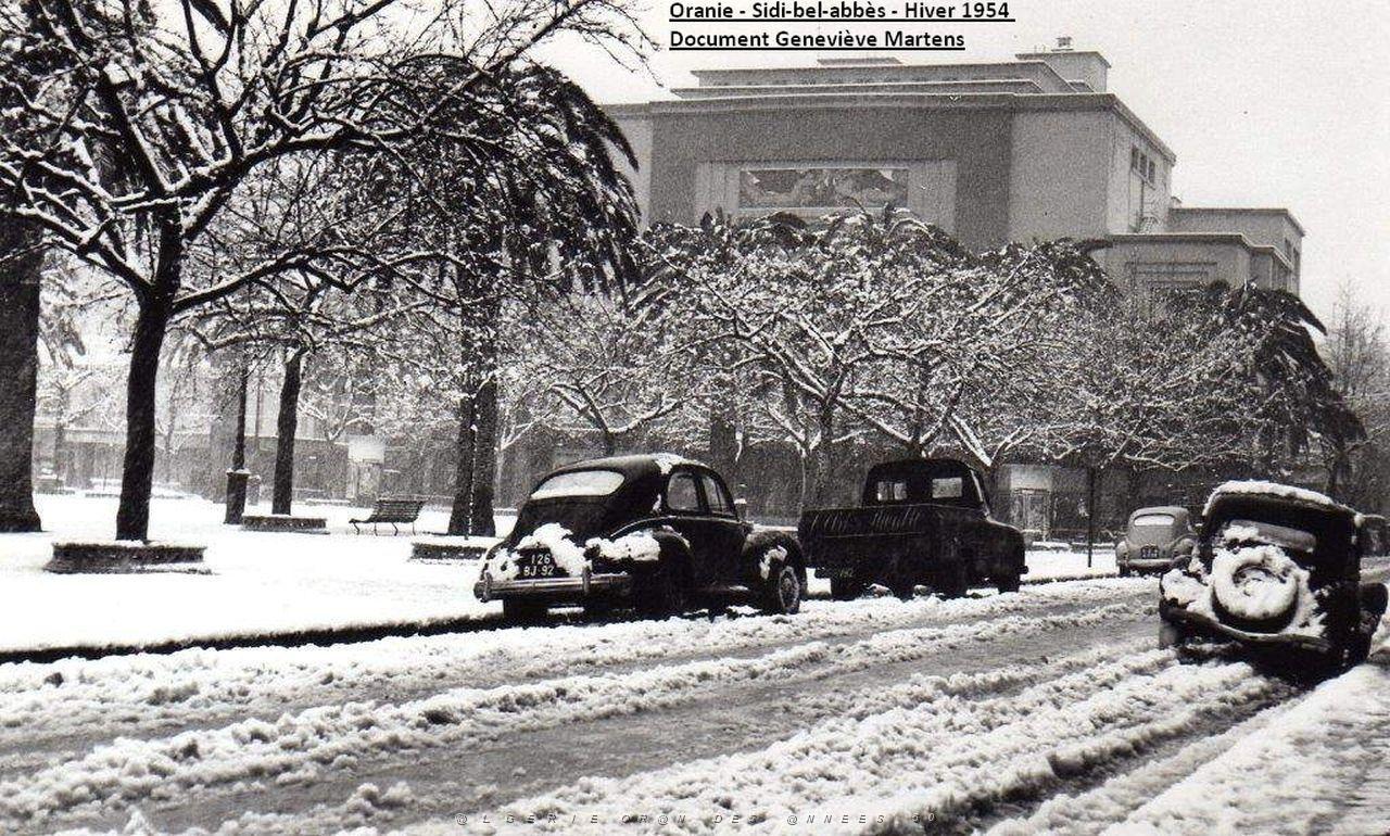 Sidi bel abbes 381.jpg